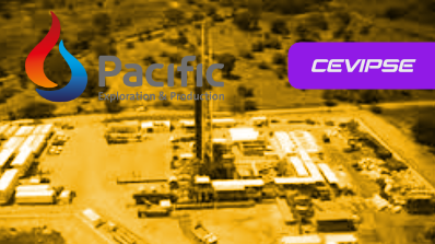 REENTRENAMIENTO BASICO VIGILANCIA